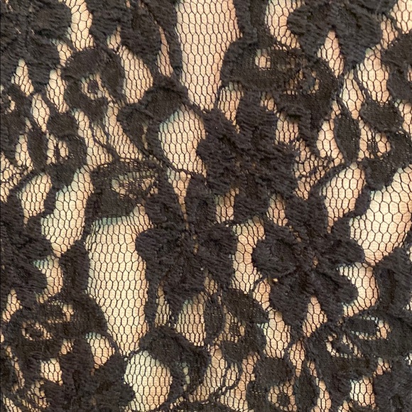 Ted Baker London Black with Nude Underlay Dress - Picture 5 of 7